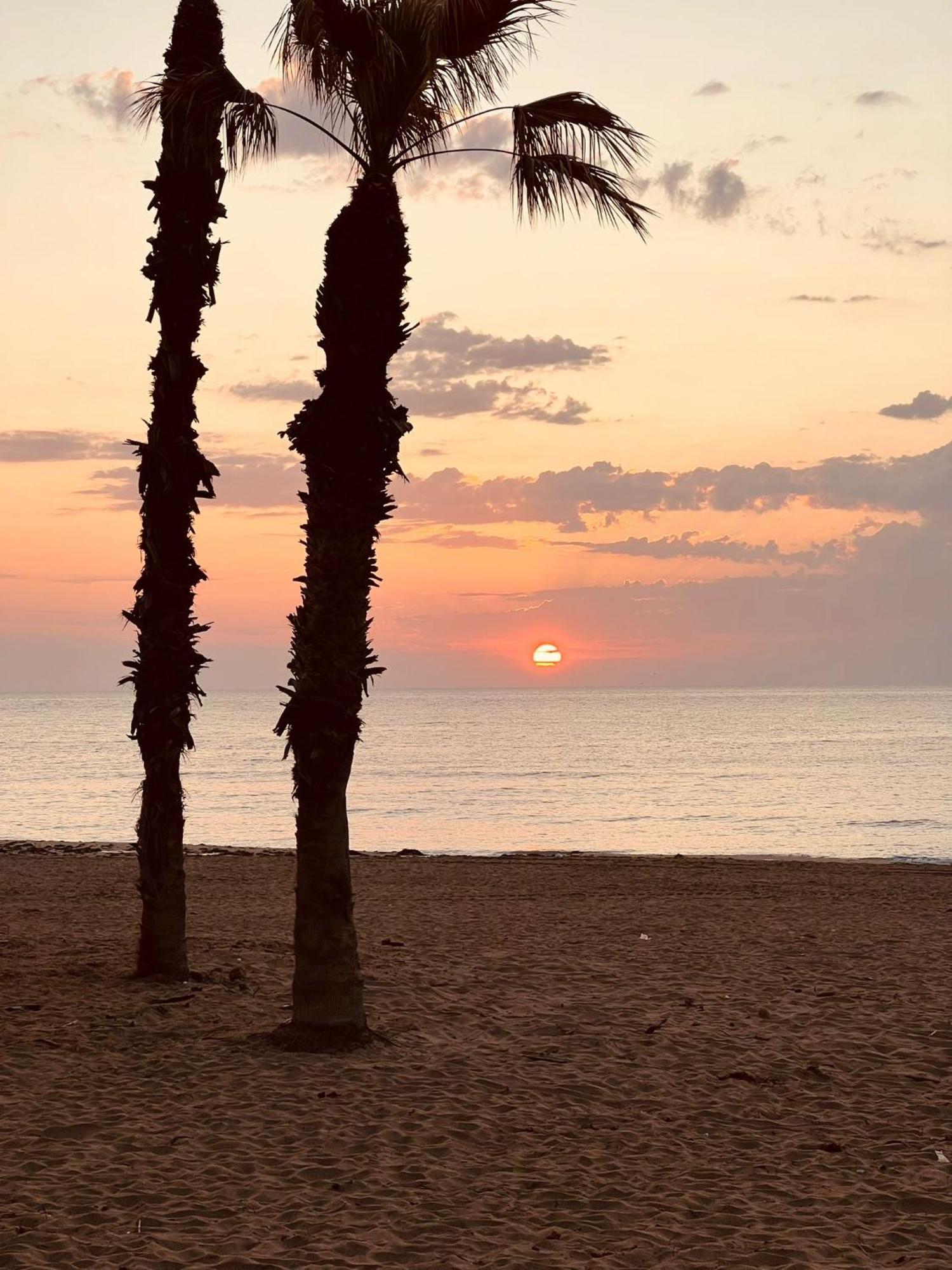 Casa De Kosma Leilighet Torrevieja Eksteriør bilde